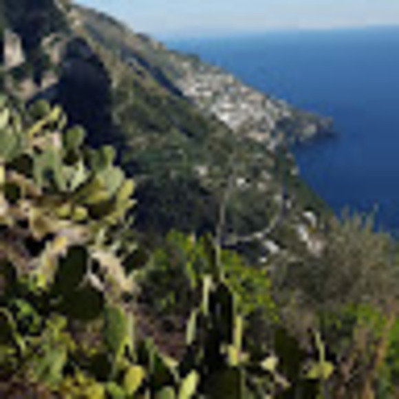 Meet your Posher, Alyssa - Picture 1 of 1